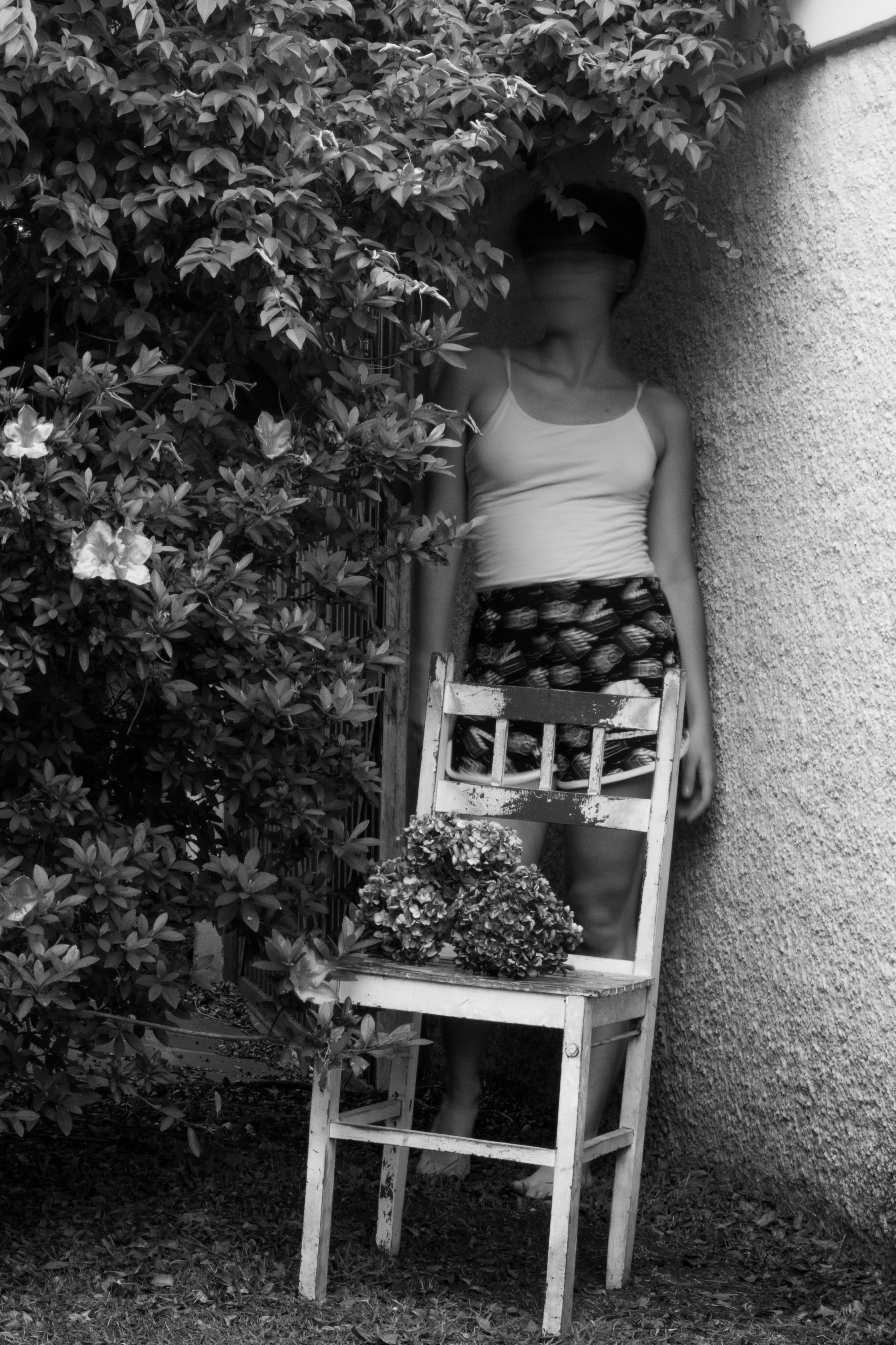 Imagem 4 para o projeto Oferenda