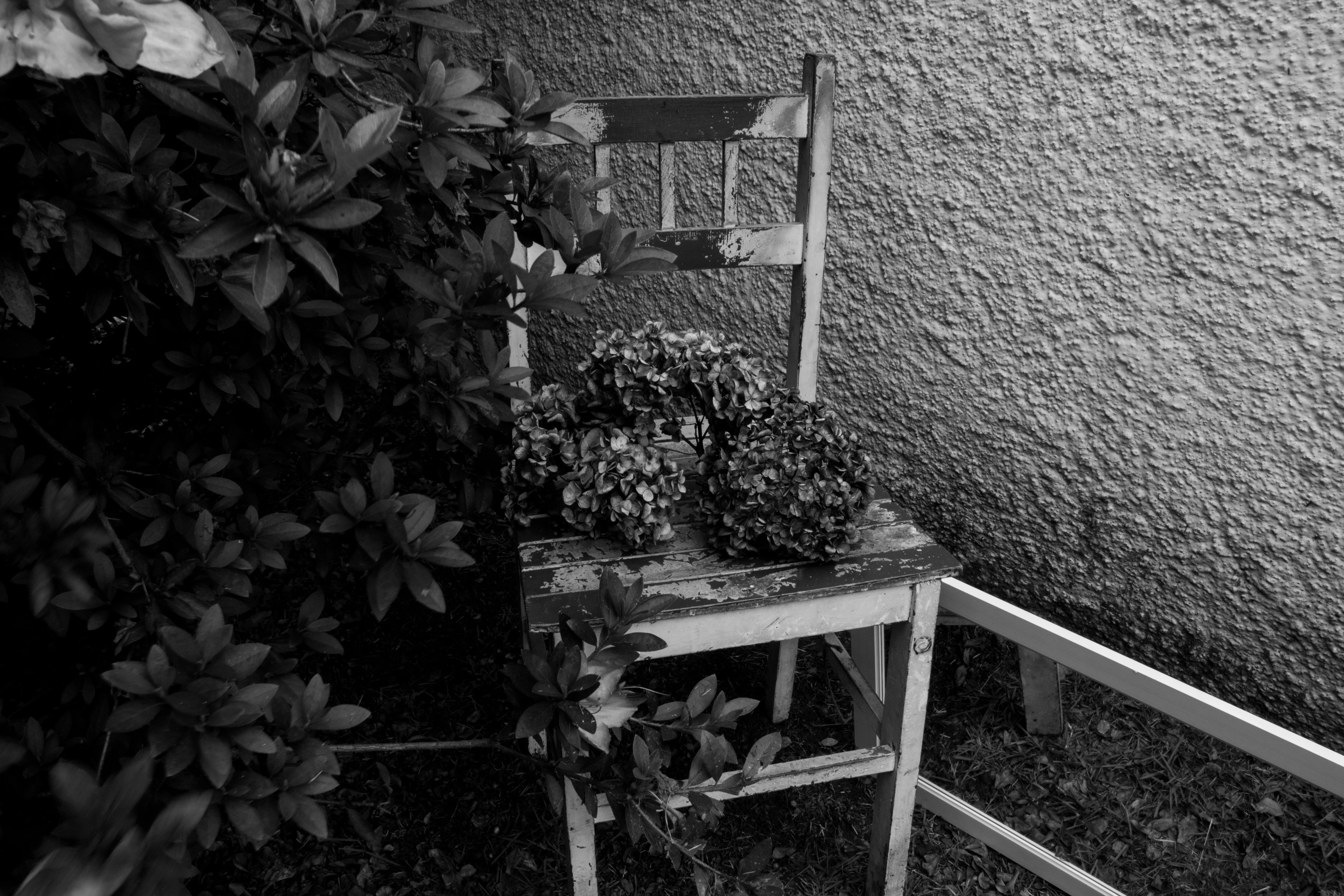 Imagem 7 para o projeto Oferenda