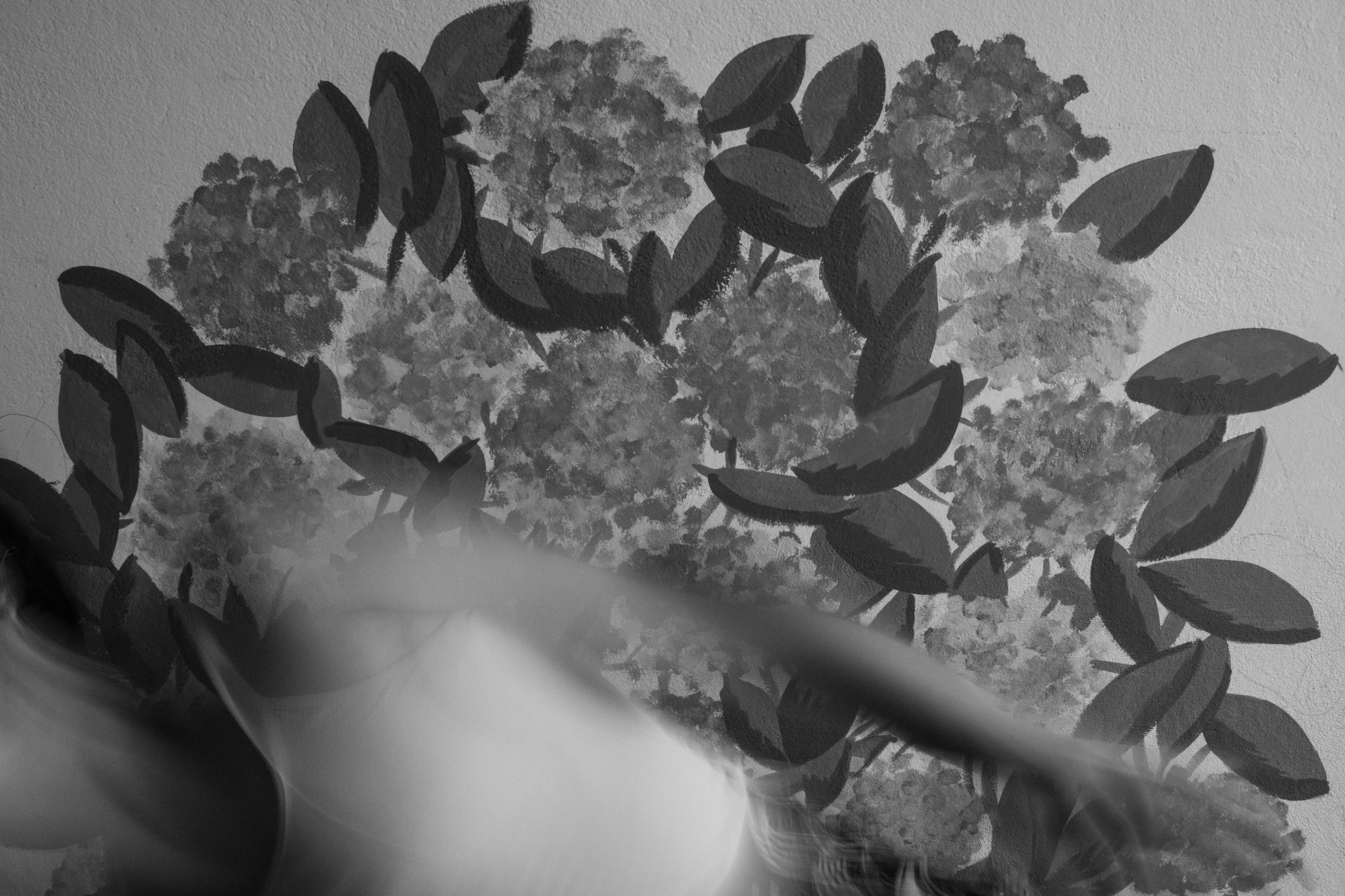 Imagem 9 para o projeto Oferenda